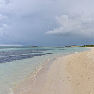 DSC_2295.jpg