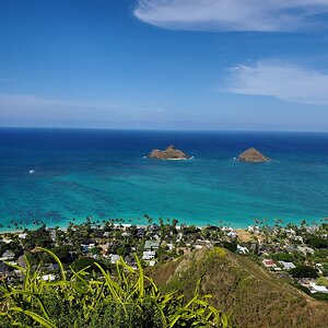 149.jpg