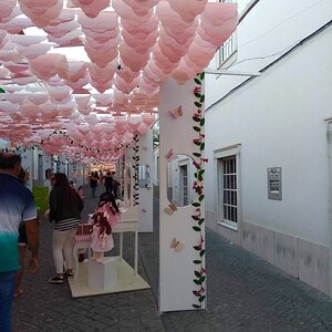 2019-08-05 01.20.44.jpg