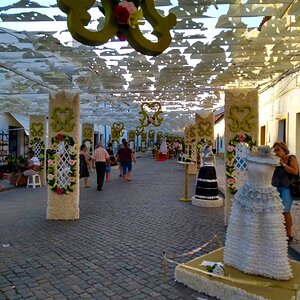 2019-08-05 01.26.55.jpg