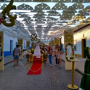 2019-08-05 01.27.08.jpg