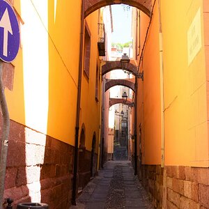 bosa10.jpg