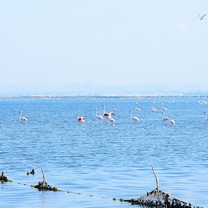 salinas3.jpg