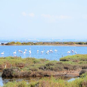 salinas6.jpg
