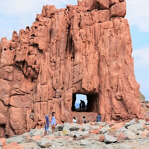 DSC_0239 (Cópia).jpg