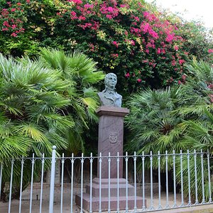 DSC_9566 (Cópia).jpg