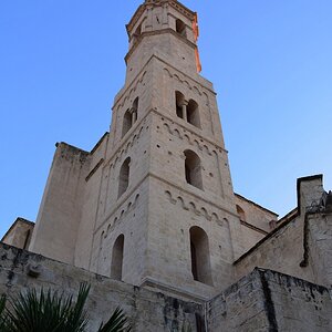 DSC_9572 (Cópia).jpg