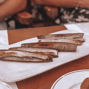 image00014.jpeg