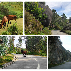65 Caminho.jpg