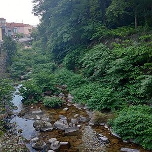 90 Gerês.jpg