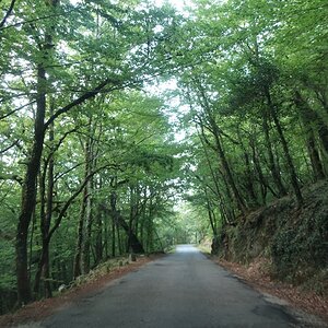 91 Caminho.JPG