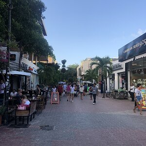 IMG_4305.JPG