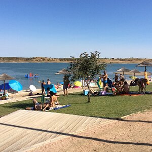 F1913DA9-4E19-409C-A3C6-404302F69B3C.jpeg