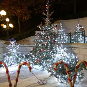 Decoracao Natal 2.jpg