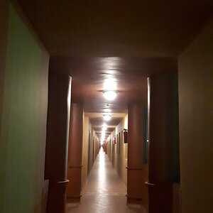 20190619_233136.jpg