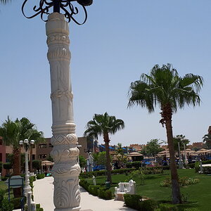 20190620_124956.jpg