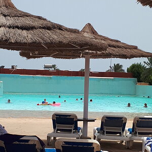20190621_104605.jpg