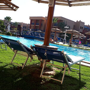 20190623_164651.jpg