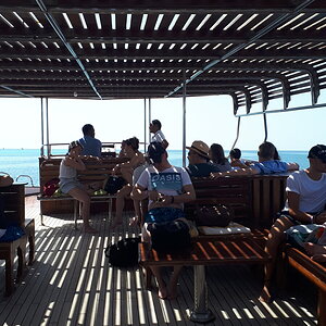20190619_085227.jpg