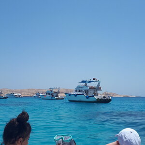20190619_104441.jpg
