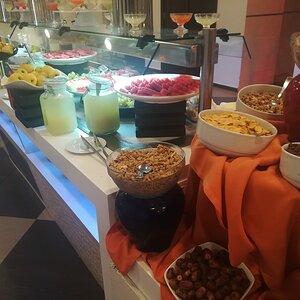 IMG_20190915_083000 .jpg