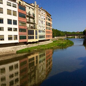 IMG_0115.jpg