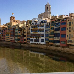 IMG_0120.jpg