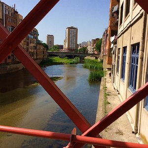 IMG_0131.jpg