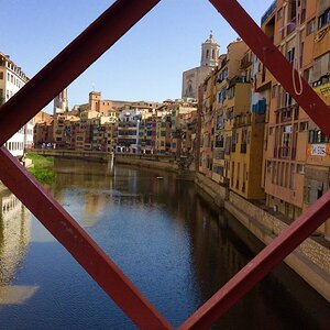 IMG_0134.jpg