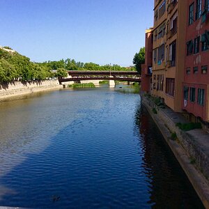 IMG_0146.jpg
