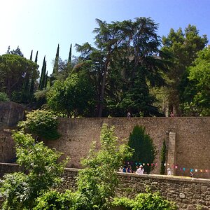 IMG_0168.jpg
