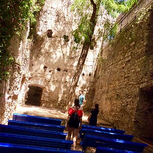 IMG_0174.jpg