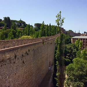 IMG_0177.jpg