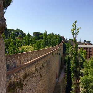 IMG_0181.jpg