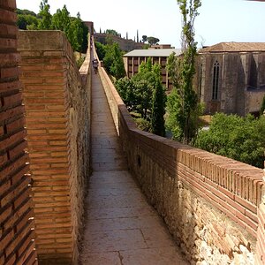 IMG_0182.jpg