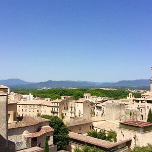 IMG_0185.jpg