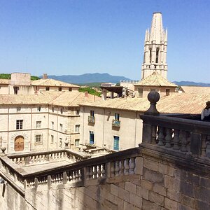 IMG_0211.jpg