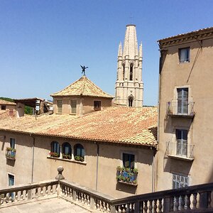 IMG_0213.jpg