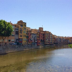 IMG_0244.jpg