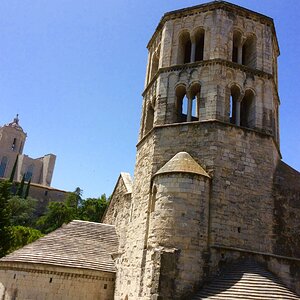 IMG_0246.jpg