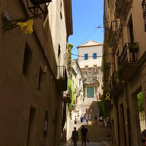 IMG_0250.jpg