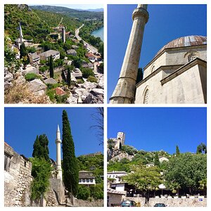 2019-07-01 14.13.48-COLLAGE.jpg