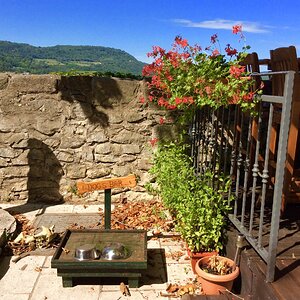 2019-07-08 09.01.56.jpg