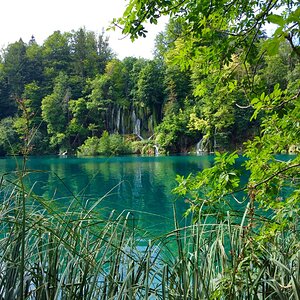 2019-07-07 08.40.11.jpg