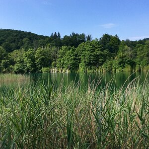 2019-07-07 08.48.47.jpg
