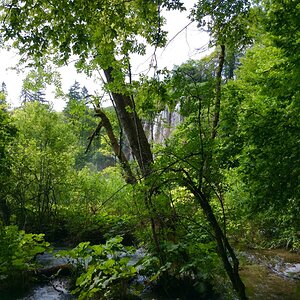 2019-07-07 09.24.53.jpg