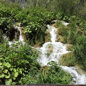 2019-07-07 10.51.35.jpg