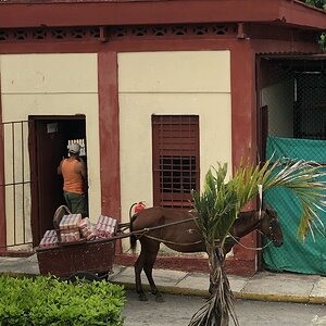 IMG_2138.jpg