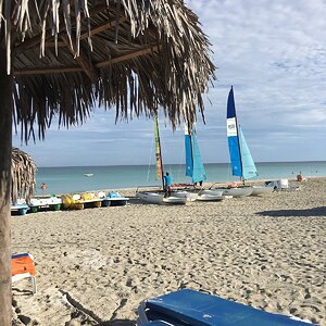 IMG_4671.JPG