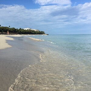 IMG_9990.JPG